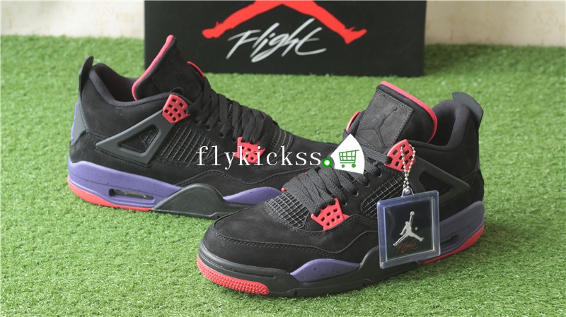 Air Jordan 4 Retro NRG Raptors